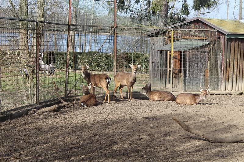 Obyvatelé (a pracovníci) ZOO Ohrada.