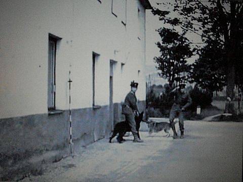 Záběr z filmu Černý vlk, který se natáčel na Šumavě.