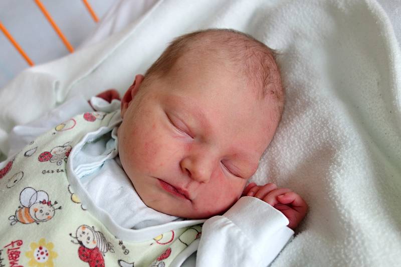 České Budějovice budou domovem Anny Beňadikové. Svět poprvé spatřila v místní  nemocnici 19. 9. 2017 ve 14.03 h. Váha novorozence byla 2,796 kg.