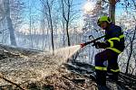 Jihočeští hasiči o víkendu opět řešili několik požárů trávy a lesních porostů.