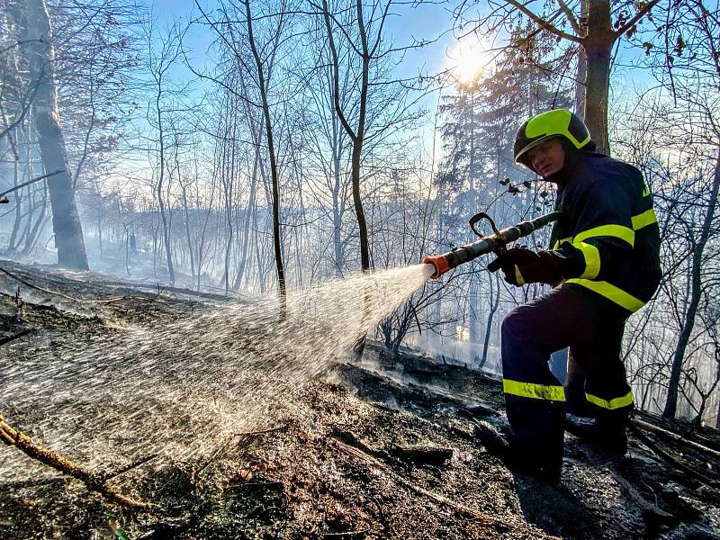 Jihočeští hasiči o víkendu opět řešili několik požárů trávy a lesních porostů. Ilustrační foto.