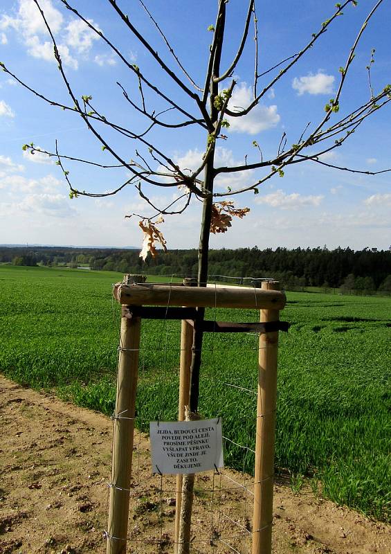 Vtipné cedule, nápisy i varování číhají na každém kroku. V jižních Čechách o ně také není nouze.