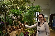 Výstava orchidejí, sukulentů, masožravek a exotických zvířat v Jihočeském muzeu v Českých Budějovicích. Spoluautorka výstavy Markéta Aubrechtová.