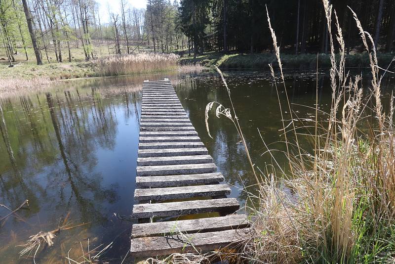 Stará obora v Hluboké nad Vltavou