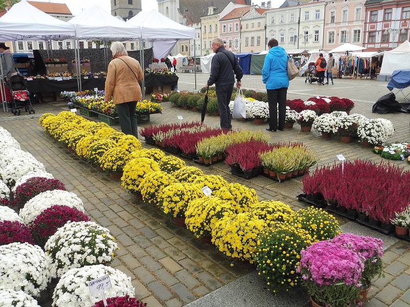 Švestkové trhy nabízejí rozmanitý sortiment.