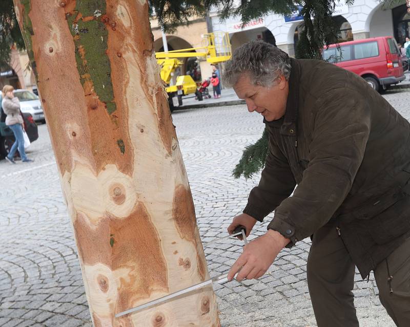 Vánoční strom pro České Budějovice ze Zavadilky,část 1