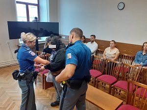 U Krajského soudu v Českých Budějovicích pokračoval v pátek 26.srpna proces s ženou z Českobudějovicka, která měla zneužívat své dvě nezletilé děti.