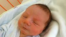 Veronika Koller je šťastnou maminkou Antonína Petra Kollera. V Českých Budějovicích se narodil se 15. 1. 2018 ve 14.04 h, vážil 3,3 kg. Jeho domovem je Kaplice.
