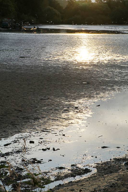 Výlov rybníka Naděje u Hluboké nad Vltavou