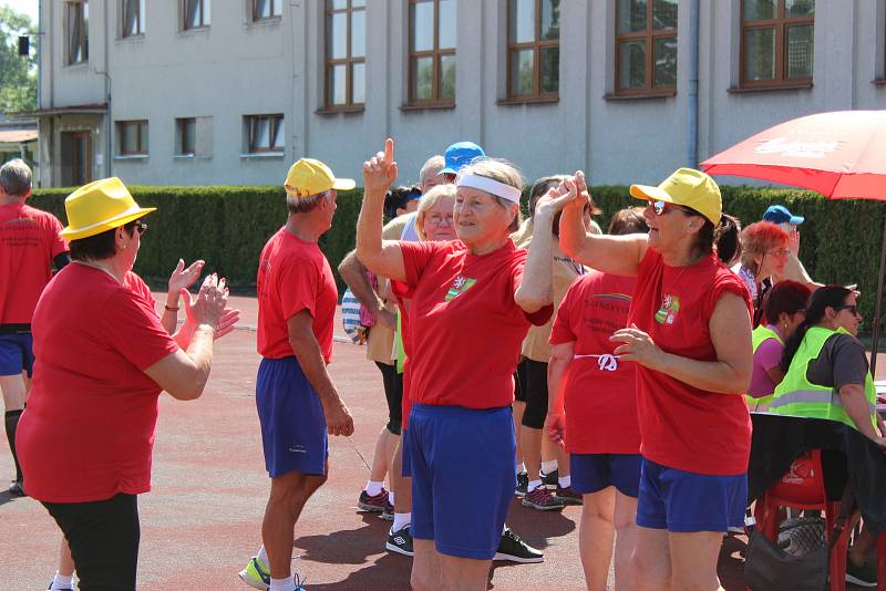 Téměř dvě stovky seniorů změřily své síly na mezinárodních sportovních hrách v Českých Budějovicích.