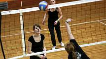 Ve čtvrtek v 6 hodin ráno začal 2012 minut dlouhý nonstop turnaj ve volejbale v českobudějovické všesportovní hale, který pořádají studenti u příležitosti oslav 20. výročí Jihočeské univerzity.
