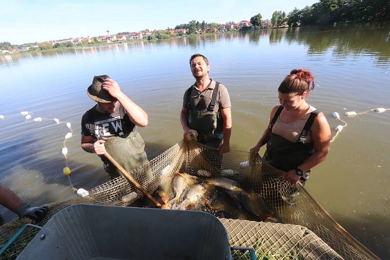 Letní odlov rybníka v Šindlových dvorech. Rybáři z českobudějovického střediska odlovili téměř tři metráky kaprů.