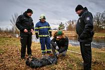 V pořadí 6. díl krimiseriálu Místo zločinu České Budějovice filmaři natáčeli převážně v krajském města a jeho okolí. Epizodu nazvanou Kvadratura muže uvidí diváci České televize v pondělí 6. února ve 20 hodin.