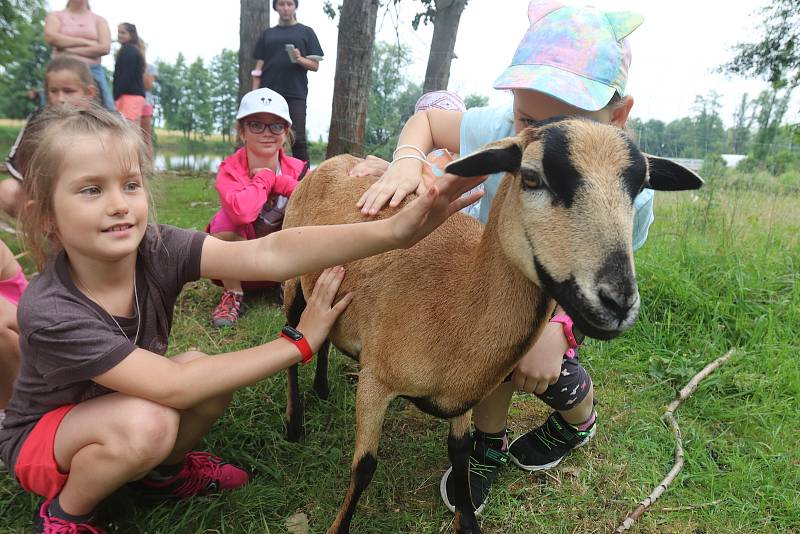 Příměstský tábor VSKH Pohodáři na malé farmě u Pilmanova rybníka v Českých Budějovicích.