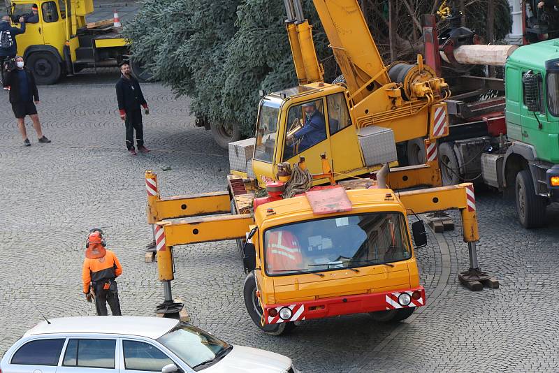 Vánoční strom pro České Budějovice.