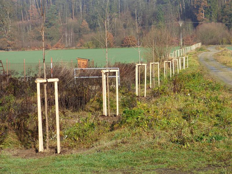 Ve středu se v Hluboké nad Vltavou uskutečnilo slavnostní otevření projektu "Výsadba dřevin Pod Pilou - Barokní kříž v lokalitě na Křesíně. Toho se účastnily i děti zde zdejší mateřské školy.