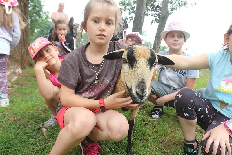 Příměstský tábor VSKH Pohodáři na malé farmě u Pilmanova rybníka v Českých Budějovicích.