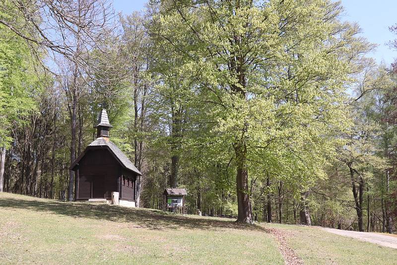 Stará obora v Hluboké nad Vltavou