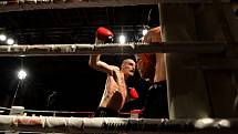 Galavečer bojových umění v pravidlech boje K1 rules a Muay Thai Gladiators Pardál night v českobudějovické Gerbeře.