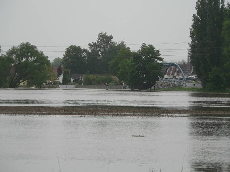 Pondělní ráno na Českobudějovicku. Zaplavená pole mezi Vidovem a Roudným.