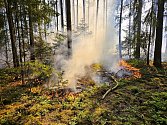Hasiči zasahovali v lese u Bohunic, kde byl vyhlášen II. stupeň požárního poplachu.