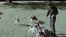 V prostřední povídce se psář Jan Kačer stará  o smečku zámeckých loveckých psů.