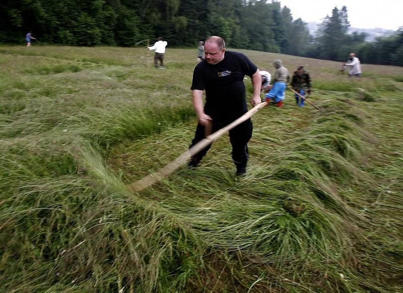 Finále Šumavského poháru v kosení se uskutečnilo  6. července na louce u Mlynařovic na Prachaticku.