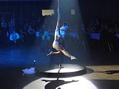 Tanečnice Lucie Šimková si musela narychlo půjčit jinou stage (tj. tyč s podstavcem), aby vůbec mohla vystupovat. Na snímku je zachycena při své show na Velkém mediálním plesu.