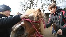 Mezi zvířaty trávily děti jarní prázdniny na příměstském táboře hlubocké zoo.