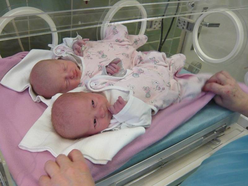 Natálka Znojová a Nikolka Znojová se narodily v pátek 28.12.2012 v 9.12 a 9.13 hodin v českobudějovické porodnici. Vážily 2,9 kg a 2,5 kg a měřily 49 a 48 cm.