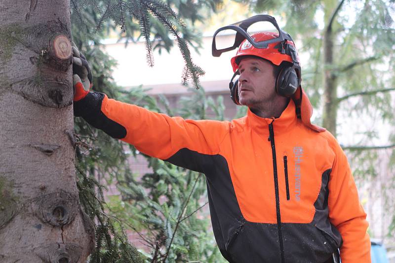 Vánoční strom pro České Budějovice již dorazil na náměstí.