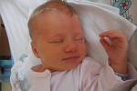 Dvouletá Adélka už doma v Českých Budějovicích netrpělivě vyhlíží příjezd sestřičky Natálie Malinové. Ta se narodila v pátek 6. září 2013 v 9 hodin a 30 minut. Porodní váha byla 2,90 kilogramu.