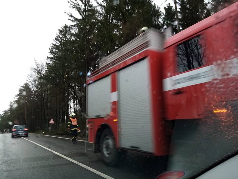 Před Lišovem ve směru od Českých Budějovic spadl strom na silnici a jeden byl nalomený. Doprava zde asi půl hodiny stála, než hasiči překážku odstranili.