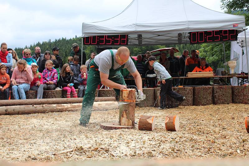 Soutěže v dřevorubeckých disciplínach přilákaly na Hojnou Vodu desítky soutěžících z blízkého okolí í vzdálenějších míst. S pilami, sekerami, špalky a polínky se tu oháněli nejen muži, ale i řada žen a dětí.