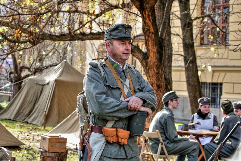 Ke stému výročí první světové války připravilo Jihočeské muzeum tématickou výstavu. Zahájena byla slavnostní vernisáží příznačně  na Den válečných veteránů.