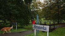 Park Stromovka v Českých Budějovicích.