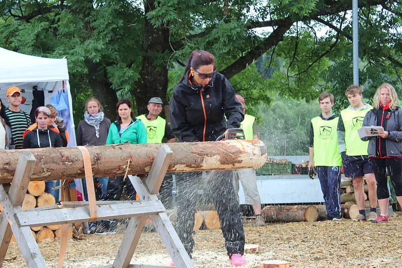 Soutěže v dřevorubeckých disciplínach přilákaly na Hojnou Vodu desítky soutěžících z blízkého okolí í vzdálenějších míst. S pilami, sekerami, špalky a polínky se tu oháněli nejen muži, ale i řada žen a dětí.