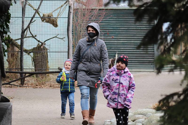 Zoo Ohrada v Hluboké nad Vltavou otevřena