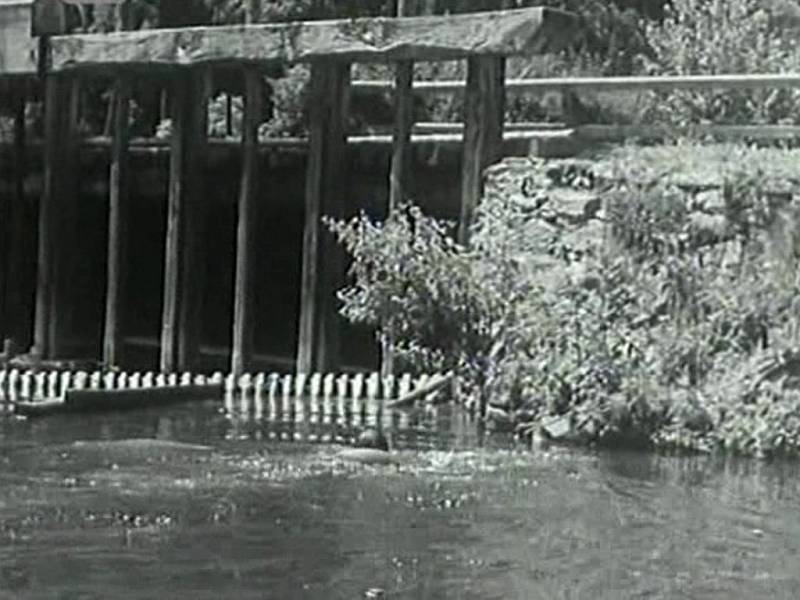 Zámecký rybník u Červené Lhoty. Snímek ukazuje stará česla (dnes jsou trochu jiná).
