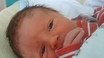 V Českých Budějovicích bude poznávat svět novorozený Marek Sejka. Maminka Adéla Sejková jej porodila 10. 6. 2020 v 9.38 h. Jeho porodní váha byla 3,44 kg.