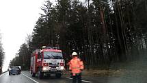 Před Lišovem ve směru od Českých Budějovic spadl strom na silnici a jeden byl nalomený. Doprava zde asi půl hodiny stála, než hasiči překážku odstranili.