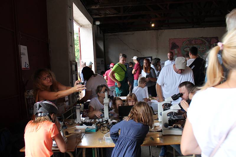 Maker Faire neboli přehlídka různých vynálezů přitáhla v sobotu od deseti hodin do českobudějovické "Žižkárny" davy návštěvníků.