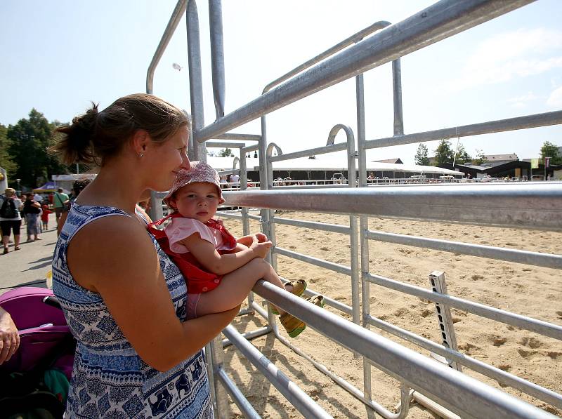 Agrosalon Země živitelka má za sebou první dva dny.