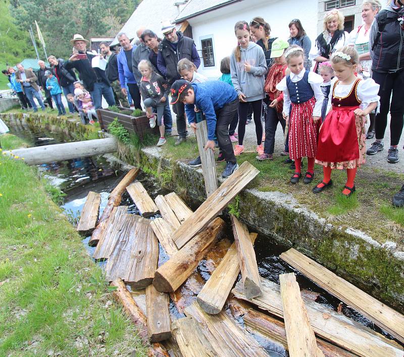 Dvacátý druhý ročník plavení dříví na Schwarzenberském kanálu na Jeleních vrších byl plný hudby, tance. Plavební ředitel Hynek Hladík dostal k červnovým 70. narozeninám dřevěnou sochu plavce Hynka, která stojí naproti Expozici Schwarzenberského kanálu.