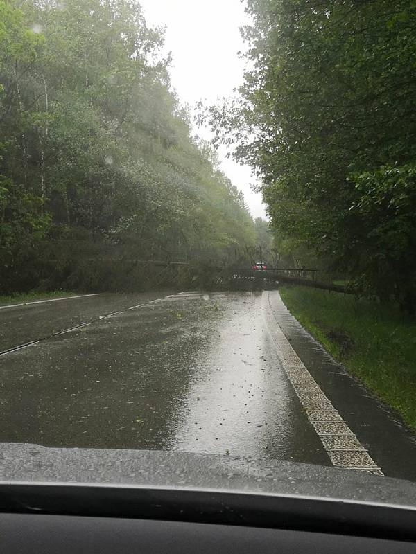 Spadlý strom na silnici z Jarošova nad Nežárkou na Strmilov.