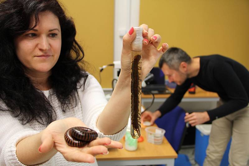 Českobudějovické Biologické centrum Akademie věd ČR pořádá tento týden přednášky a ve čtvrtek a v pátek Den otevřených dveří.