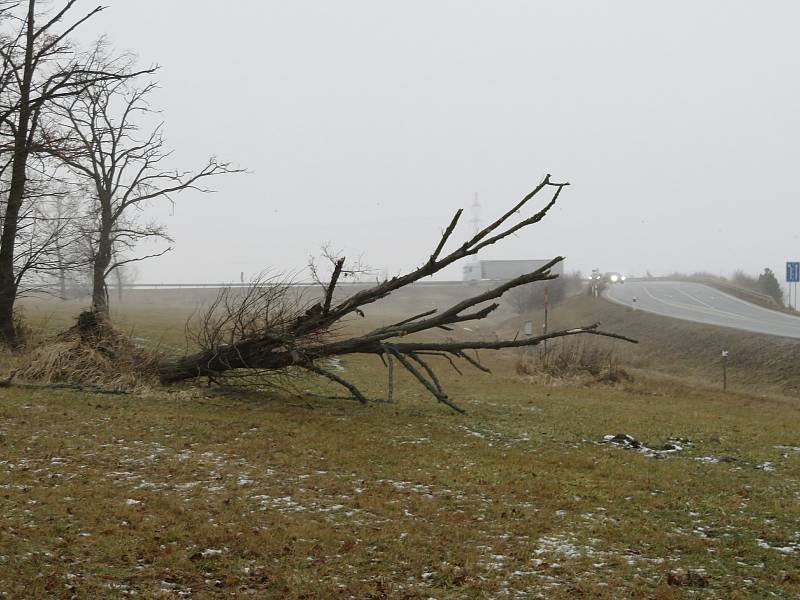 Větrné počasí se sněhovými přeháňkami 20. ledna na jihu Čech.
