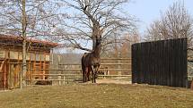 Obyvatelé (a pracovníci) ZOO Ohrada.