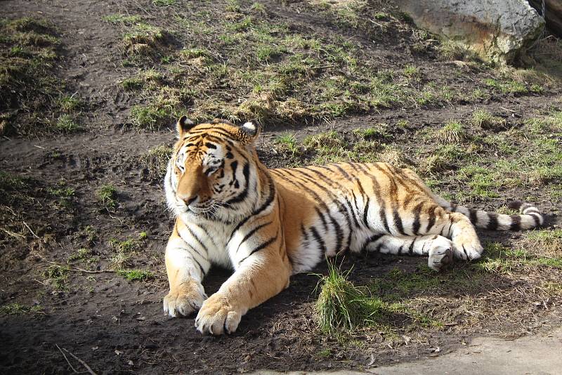 Obyvatelé (a pracovníci) ZOO Ohrada.