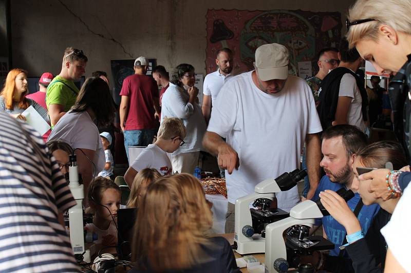 Maker Faire neboli přehlídka různých vynálezů přitáhla v sobotu od deseti hodin do českobudějovické "Žižkárny" davy návštěvníků.